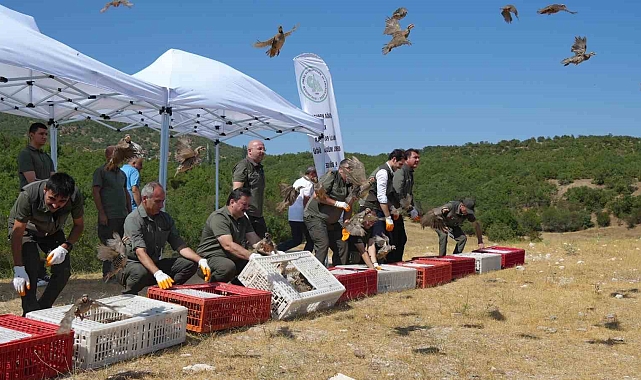 Tarım ve Orman Bakanlığı&#039;ndan Kenelere Karşı Keklikli Mücadele