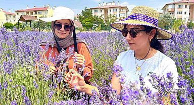 Van YYÜ'deki Tıbbi-Aromatik Bitkiler Bahçesi 300 Türü Ağırlıyor