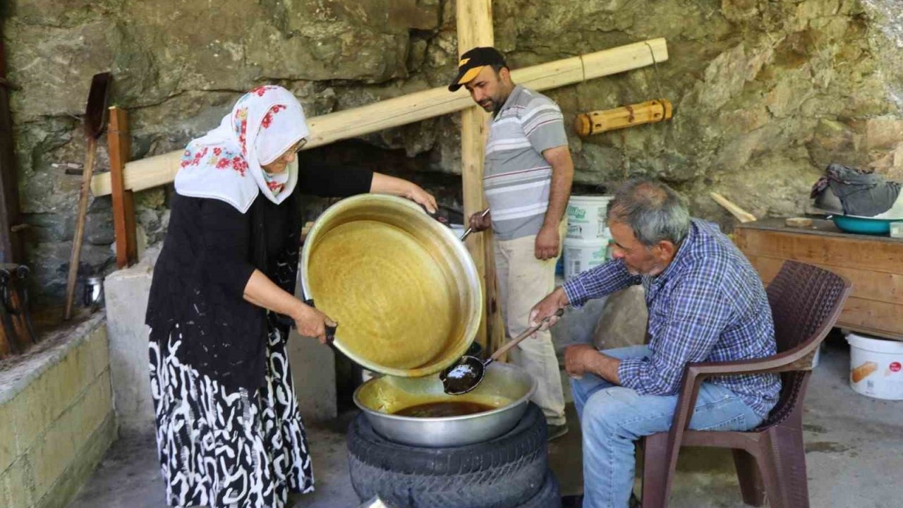 Coğrafi İşaretli &#039;Karnavas Dut Pekmezi&#039;nin Üretimi Başladı