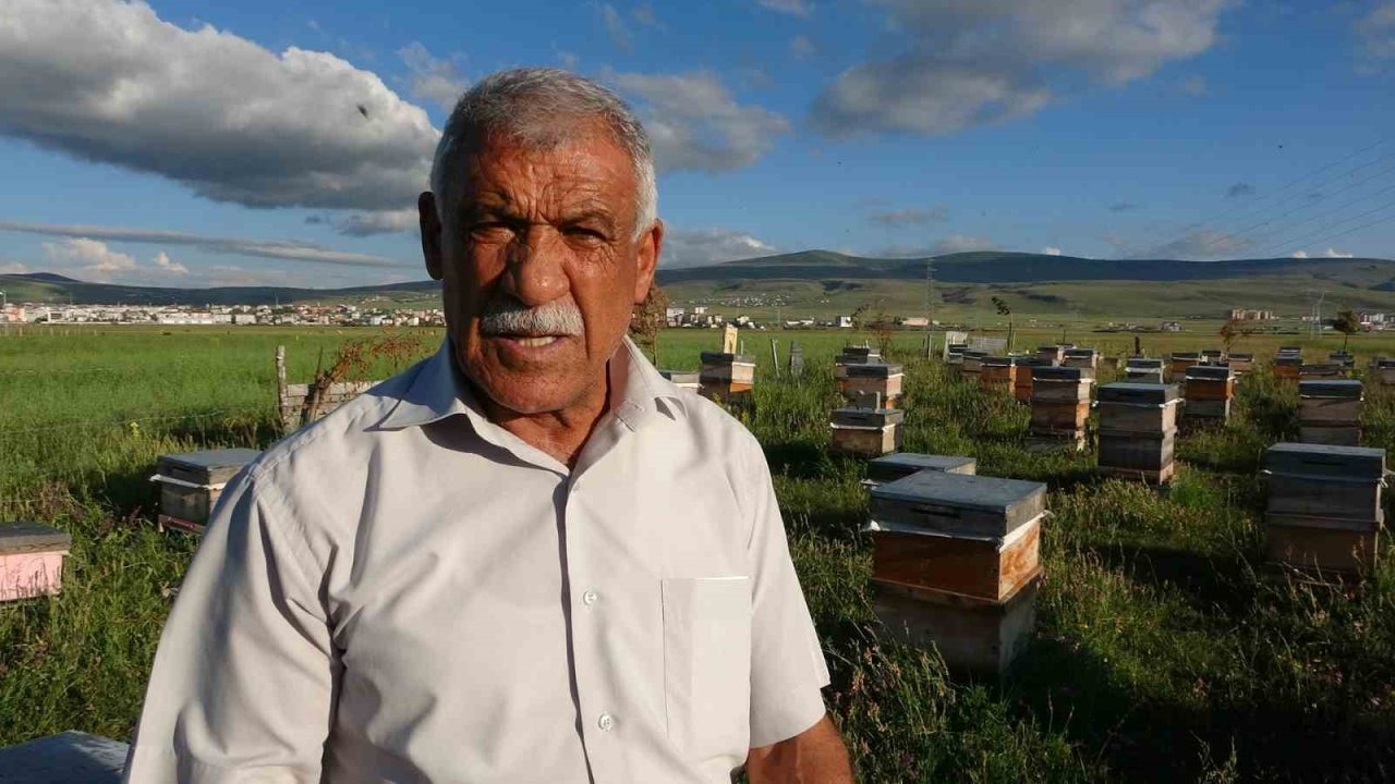 Ardahan&#039;da Bal Üreticilerinin Yüzü Güldü: Rekolte Artışı Sevinç Yarattı
