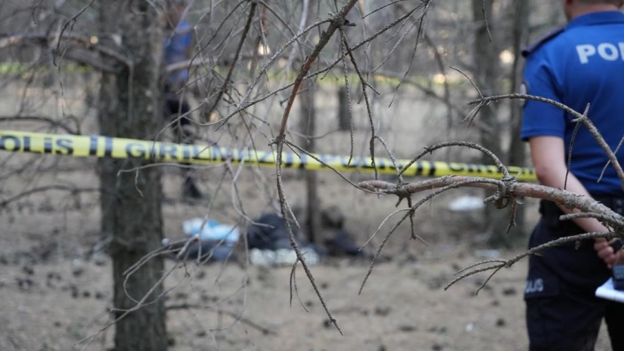 Erzurum&#039;da Bulunan Çürümüş Ceset, 19 Yıllık Cinayet Firarisinin Çıktı