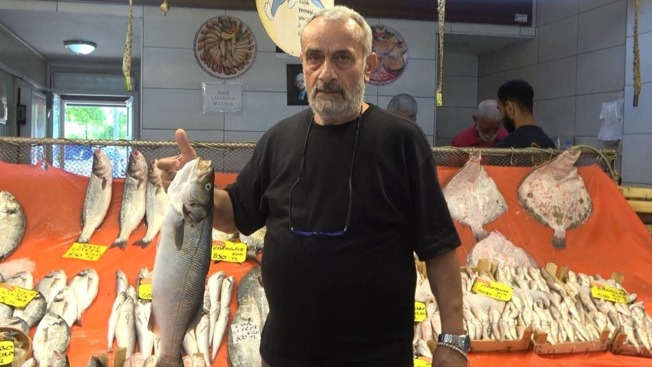 Balık Tezgahları Şenlendi: Hamsi ve İstavrit Fiyatları Yüz Güldürüyor