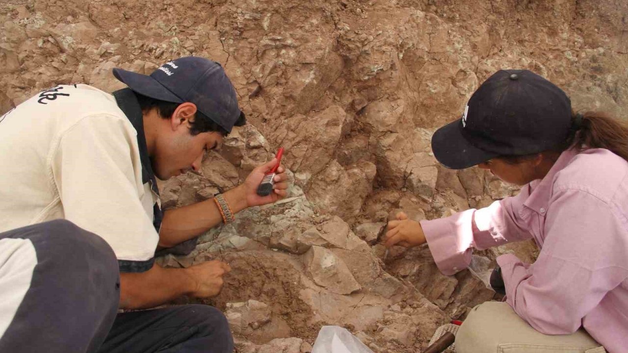 Çankırı&#039;da 9 Milyon Yıllık Fosiller Gün Yüzüne Çıkıyor