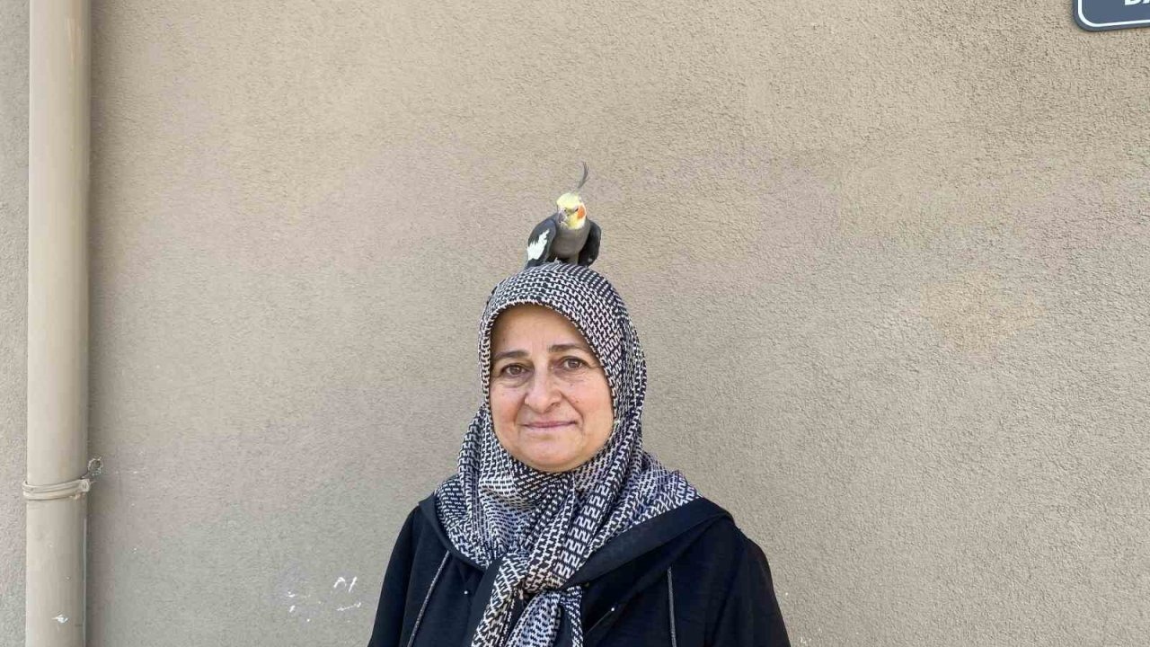 Tokat&#039;ta Papağan ve Sahibinin Sıcak Dostluğu Güldürüyor