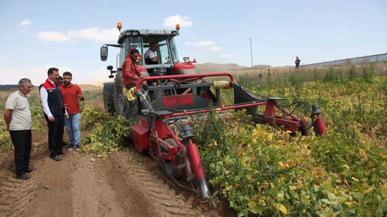 Kuru Fasulye Hasadı Başladı: Türkiye Sıralamasında 4. Sırada Yer Alıyor