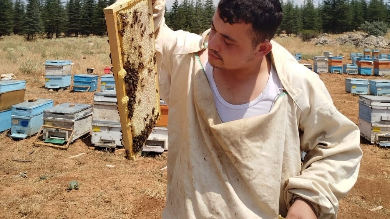 Bilgisayar Programcısı Genç, Babasının Arıcılık Mesleğini Seçti