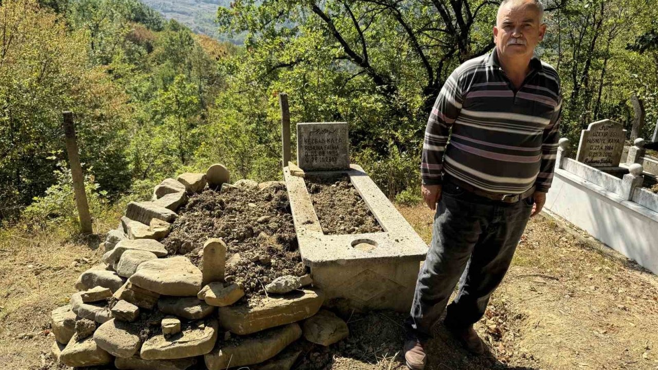 Karabük&#039;te Mezar Ziyaretçileri Şaşkına Döndü: Ayı Mezarları Kazdı