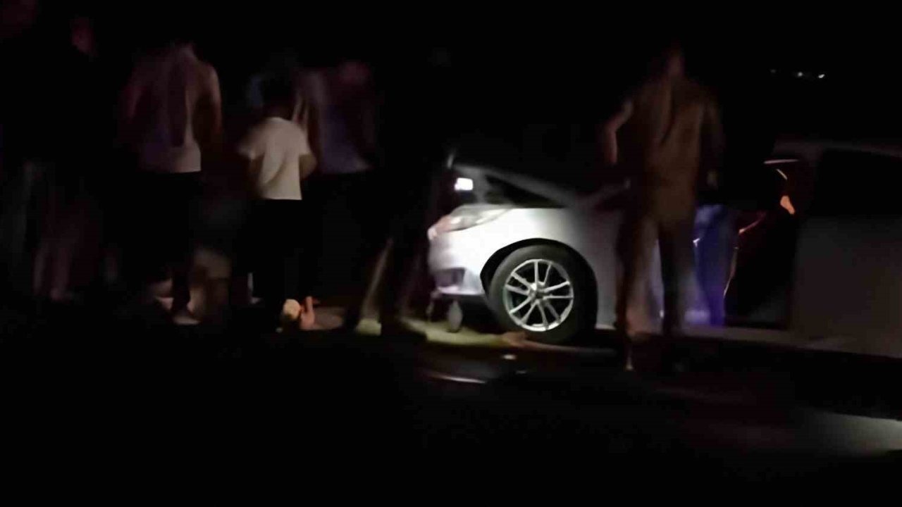 Van&#039;da Otomobil Koyun Sürüsüne Çarptı: 8 Koyun Telef Oldu