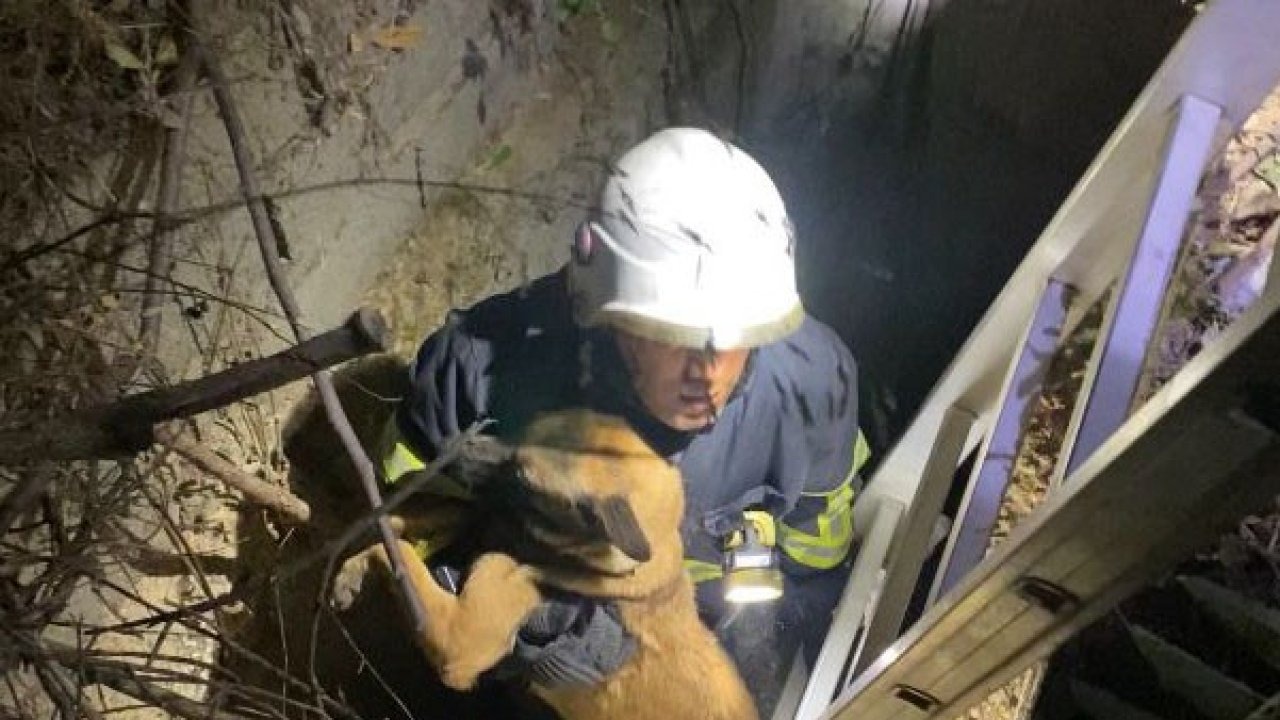 Hatay&#039;da Kuyuya Düşen Köpeği İtfaiye Kurtardı