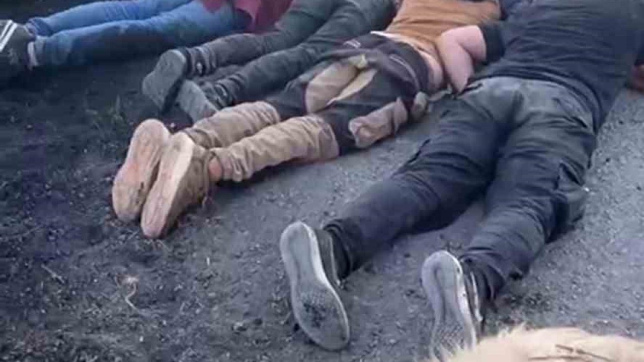 Hatay&#039;da Sürüye Çarpan Araç Sürücüsü, Kaçak Göçmenleri Bırakıp Kaçtı