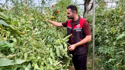 Iğdır’da Sera Varlığı Belirleniyor: Tarımsal Üretime Katkı Sağlanacak