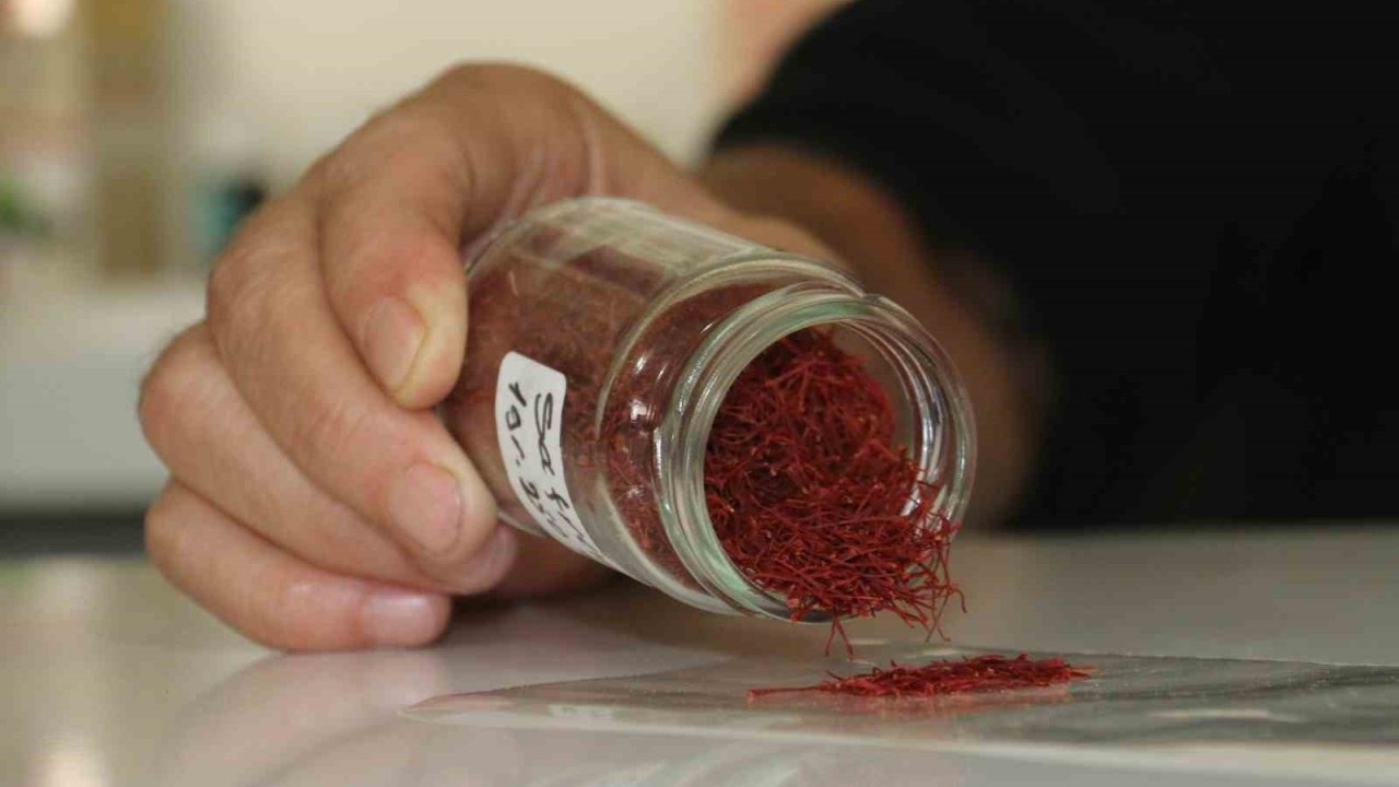 Dünyanın En Değerli Baharatı Safranın Sahteleri Piyasaya Sürüldü