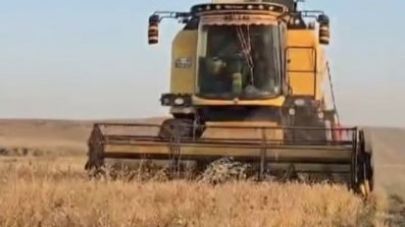 Kars’ta Nohut Hasadı Başladı: Verim Yüzleri Güldürdü