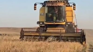 Kars’ta Nohut Hasadı Başladı: Verim Yüzleri Güldürdü