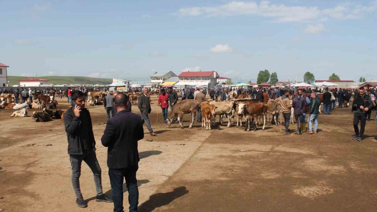 Ağrı&#039;da Canlı Hayvan Borsası Şap Hastalığı Nedeniyle Kapatıldıktan Sonra Yeniden Açılıyor