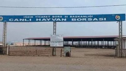 Iğdır’da Canlı Hayvan Pazarının Açılış Tarihi Belli Oldu
