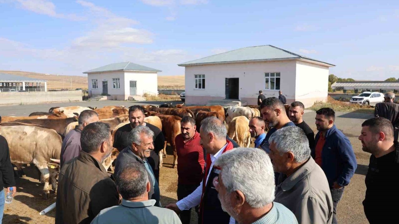Kars Hayvan Pazarı Yeniden Açıldı: Şap Hastalığı Kısıtlamaları Kaldırıldı