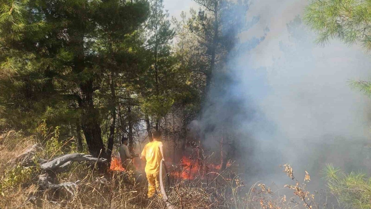 Denizli&#039;de Orman Yangını: Havadan ve Karadan Müdahale Başlatıldı