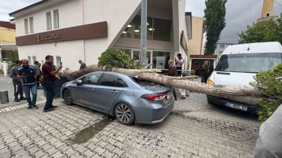 Ağrı’da Fırtına: Devrilen Ağaç Otomobilin Üzerine Düştü