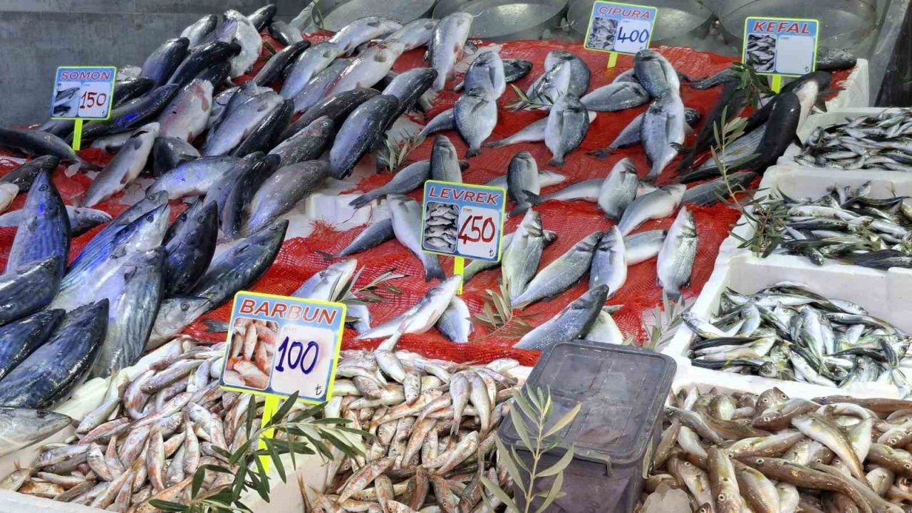 Balık Sezonu Hareketlendi: Hamsi Umudu Var, Palamut Yok