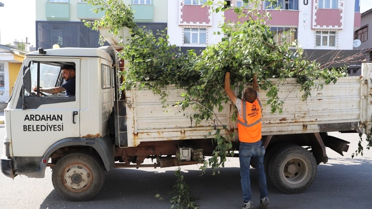 Ardahan’da Ağaç Budama Çalışmaları Başladı