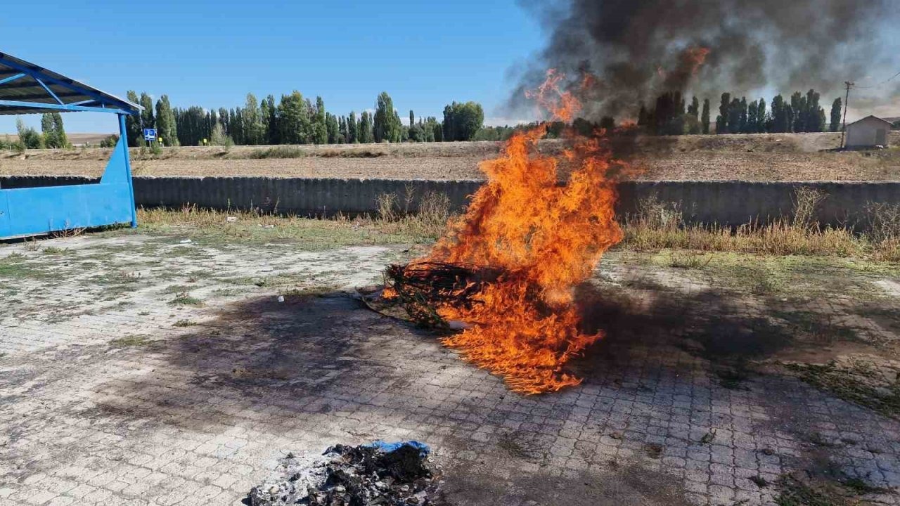 Alaca&#039;da Kenevir İmhası