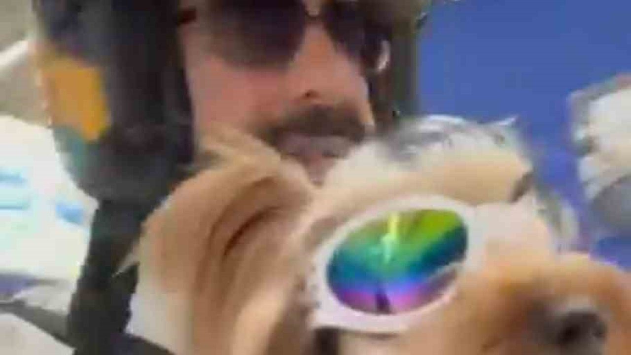 Bursa&#039;da Köpeğiyle Markete Alınmayan Vatandaş Duruma İsyan Etti