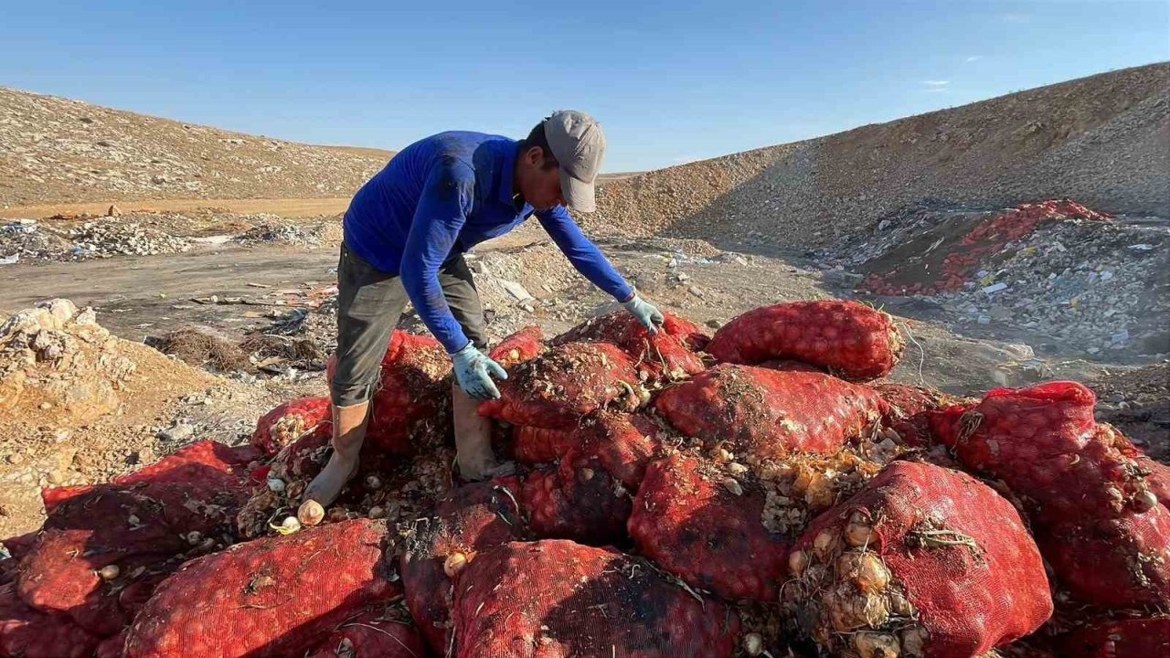 Karaman’da Tonlarca Soğan Boş Araziye Döküldü