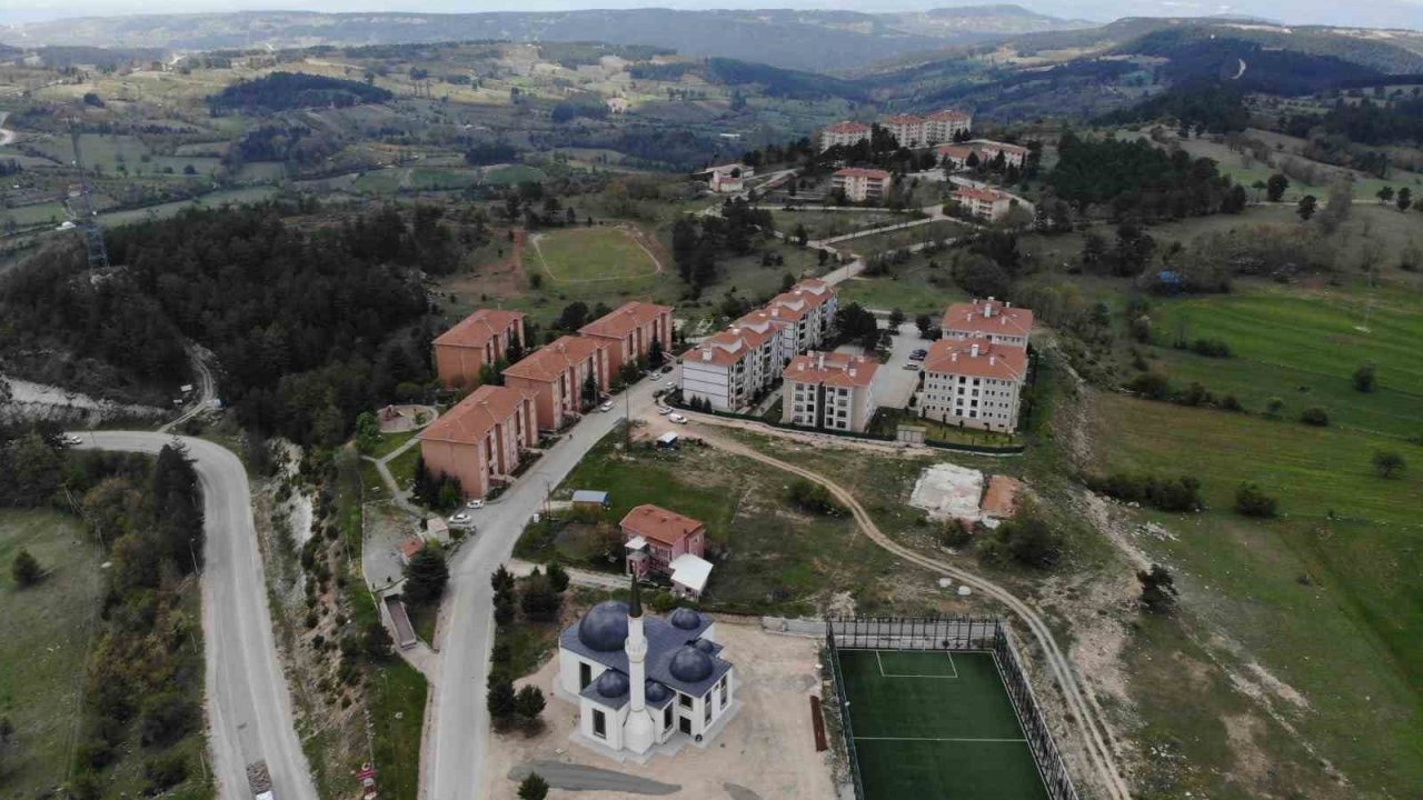 Bursa&#039;da Site Bahçesinde Ayı Uyarısı