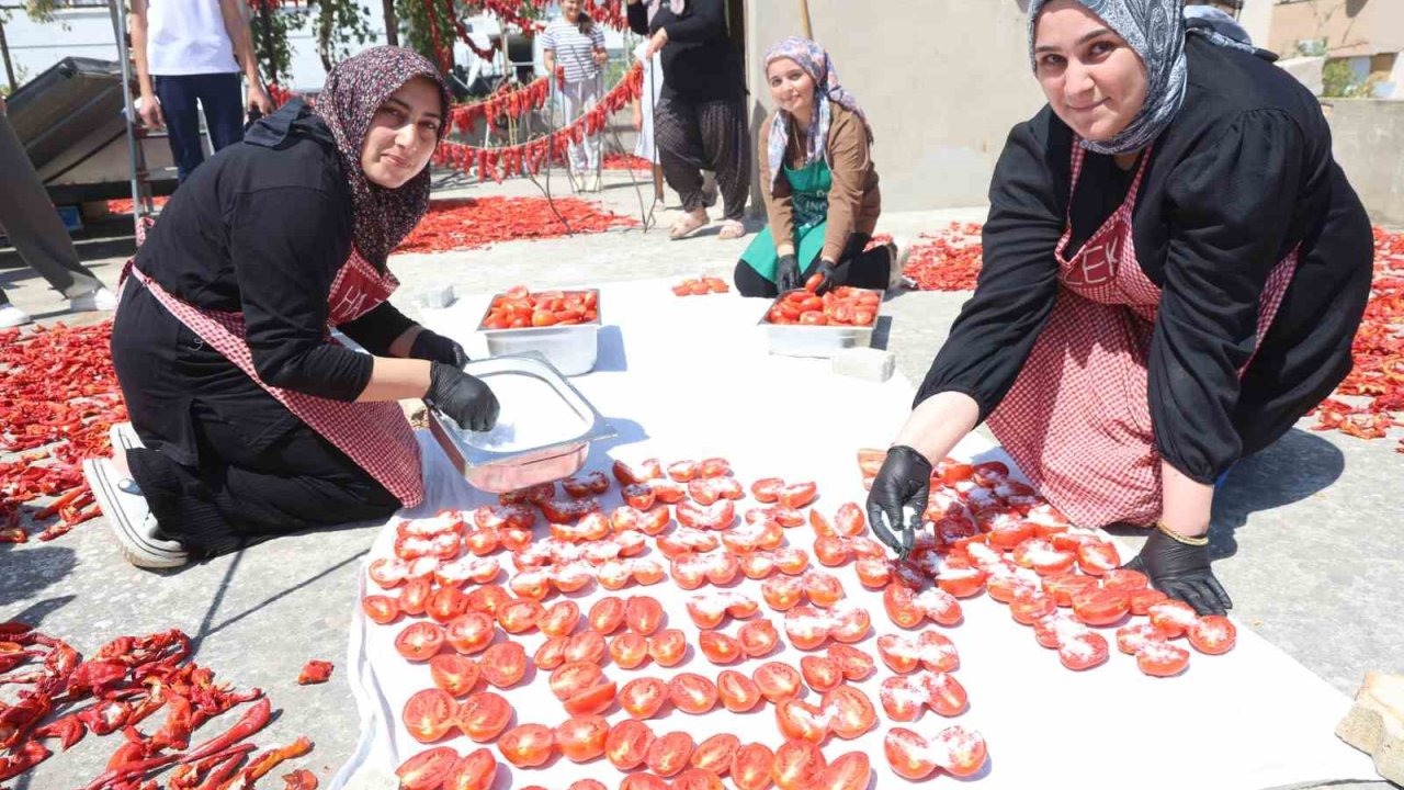 Hatay'da Afetzede Kadınların Elinden Kışlık Lezzet: Kurutulmuş Domates