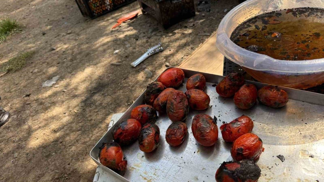 Ağrı’da Kış Hazırlıkları Başladı: Közlenmiş Sebzeler Sofraların Vazgeçilmezi