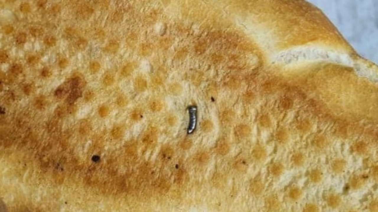 Siirt’te ekmekten çivi çıktı