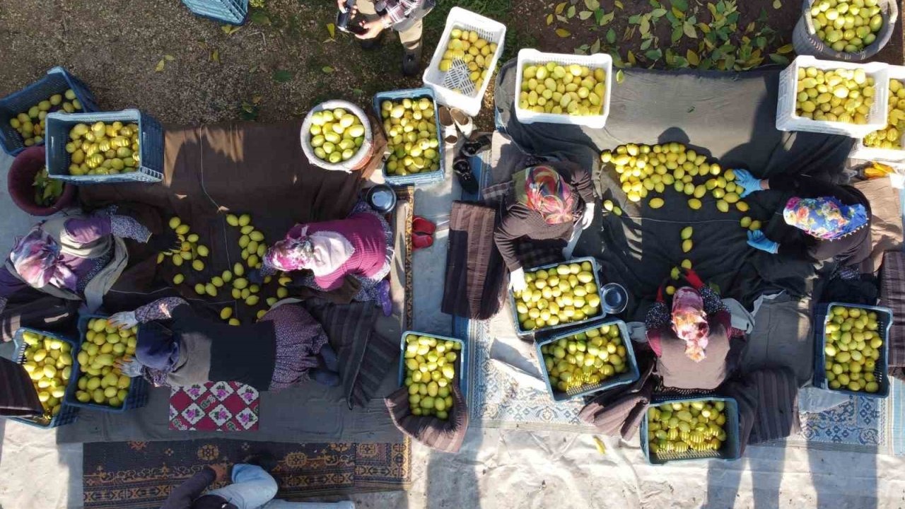 Tarım-ÜFE'de Yıllık Artış Yüzde 41,55