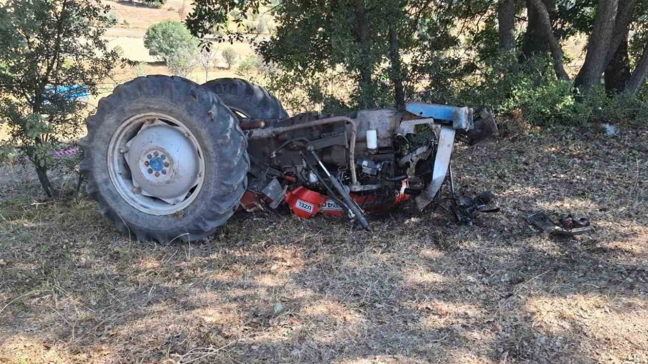 Kuşburnu toplamaya gitti, dönüşte canından oldu