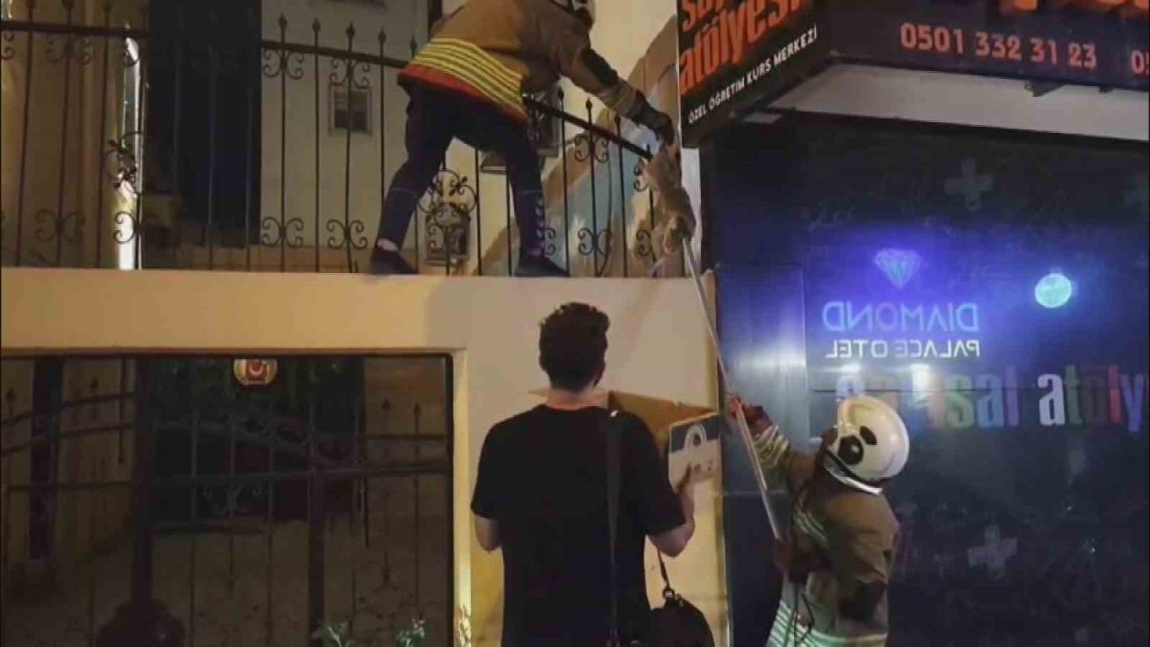 İskenderun&#039;da Demir Korkuluğa Sıkışan Kedi Kurtarıldı