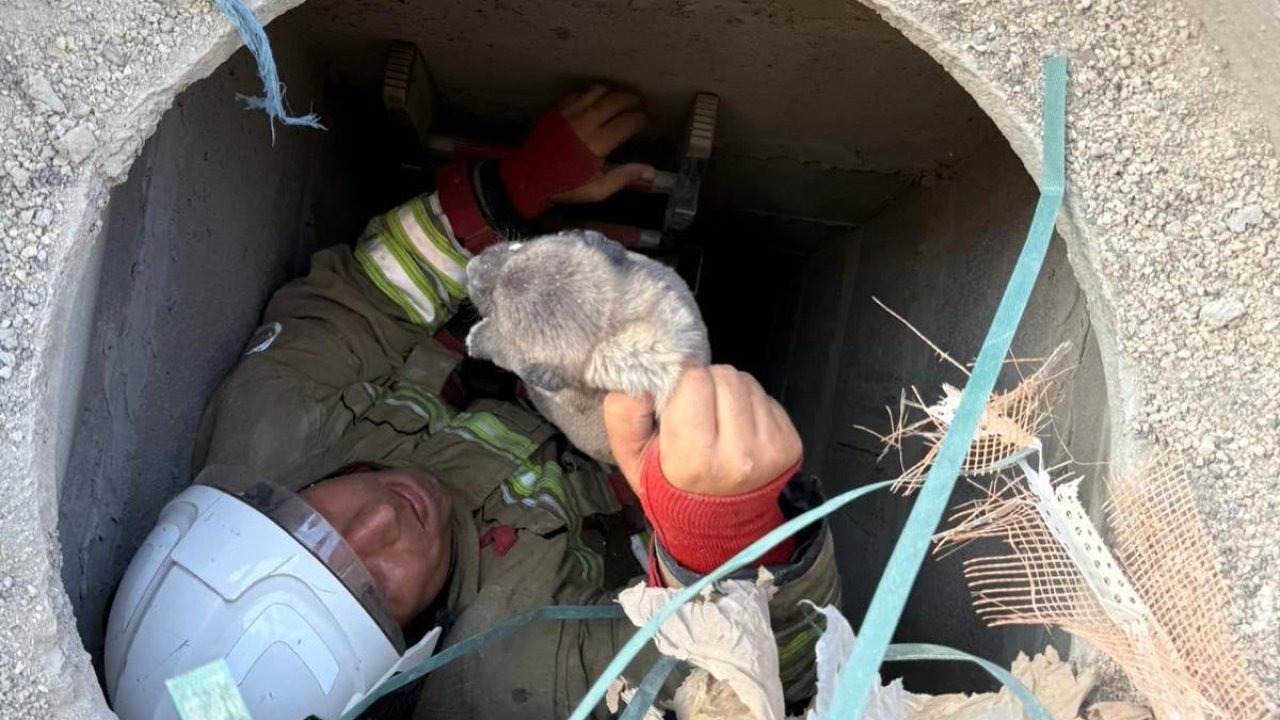 Hatay’da Kuyuya Düşen Yavru Köpek Kurtarıldı