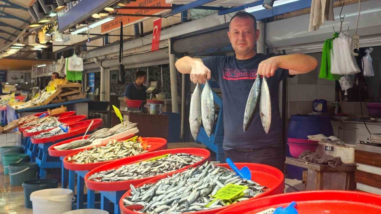 Deniz Suyu Sıcaklığı Balıkçıların Umudunu Kırdı: Fiyatlar Yüksek Seyrediyor