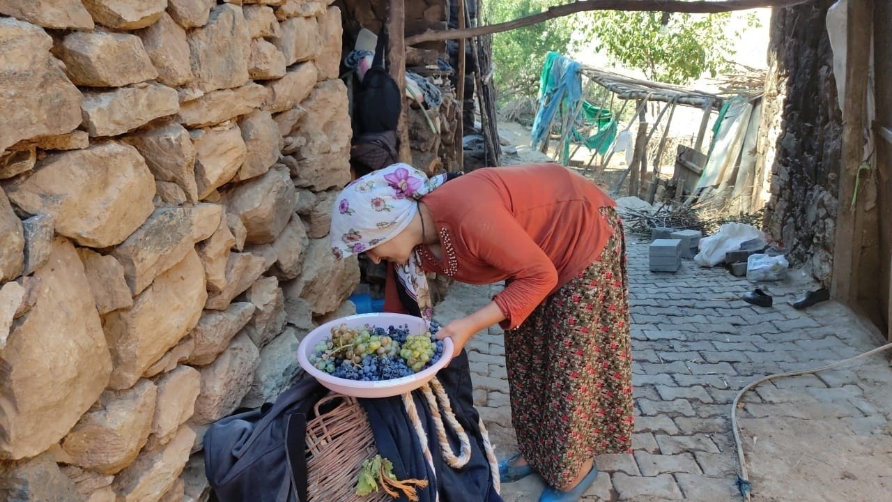 Erzincan&#039;da Kış Hazırlıkları: Meyve Kurutma Geleneği