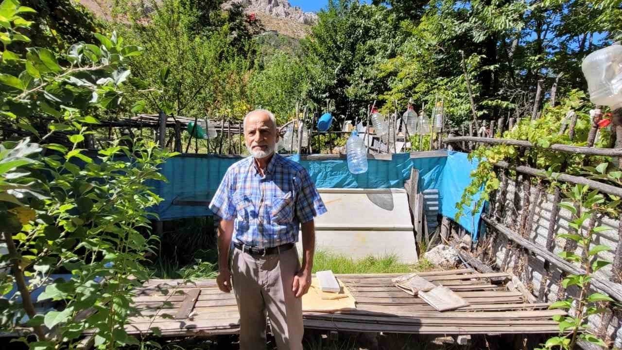 Ev ve bahçelere dadanan ayıları yetkililere şikâyet etti