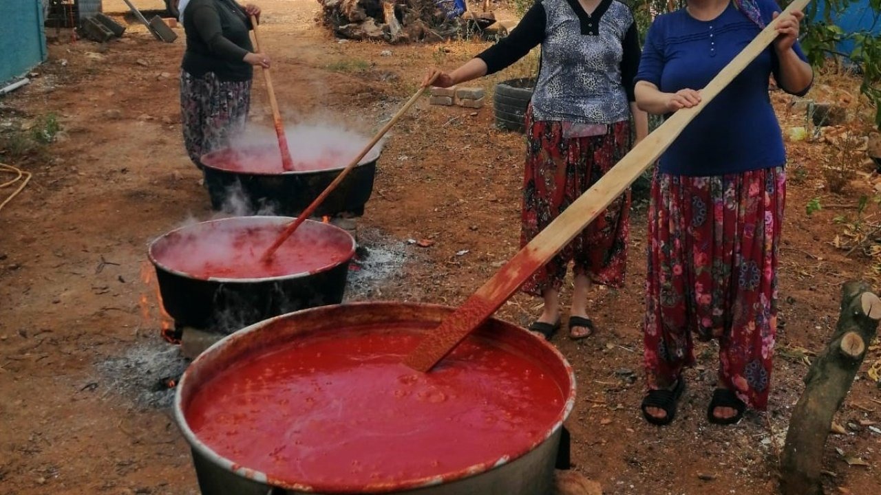 Erzincan&#039;da Kışlık Salça Mesaisi: Doğal Lezzetler Kışa Saklanıyor