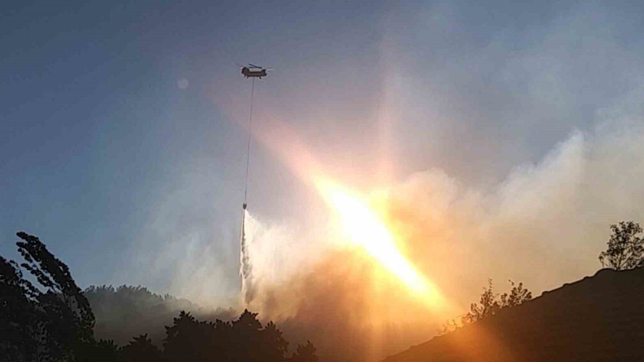 Köyceğiz'deki Orman Yangınına Havadan Müdahale Yeniden Başladı