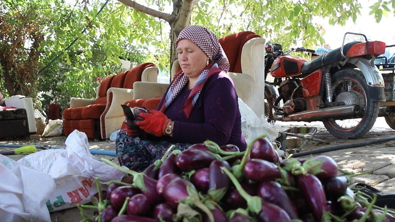 Gaziantep&#039;te Kışlık Kurutmalık Mesaisi