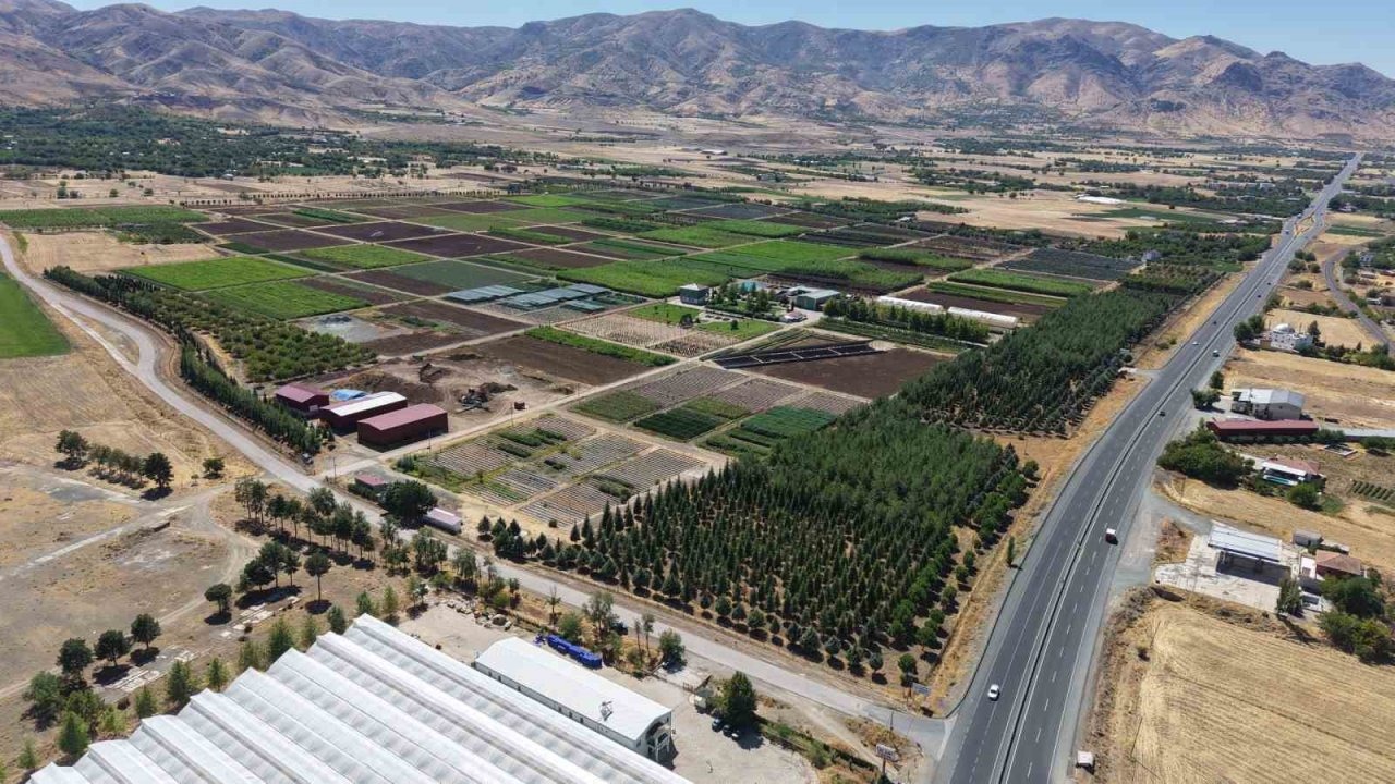 Elazığ&#039;da Üretilen 6 Milyon Fidan Türkiye&#039;yi Yeşillendiriyor