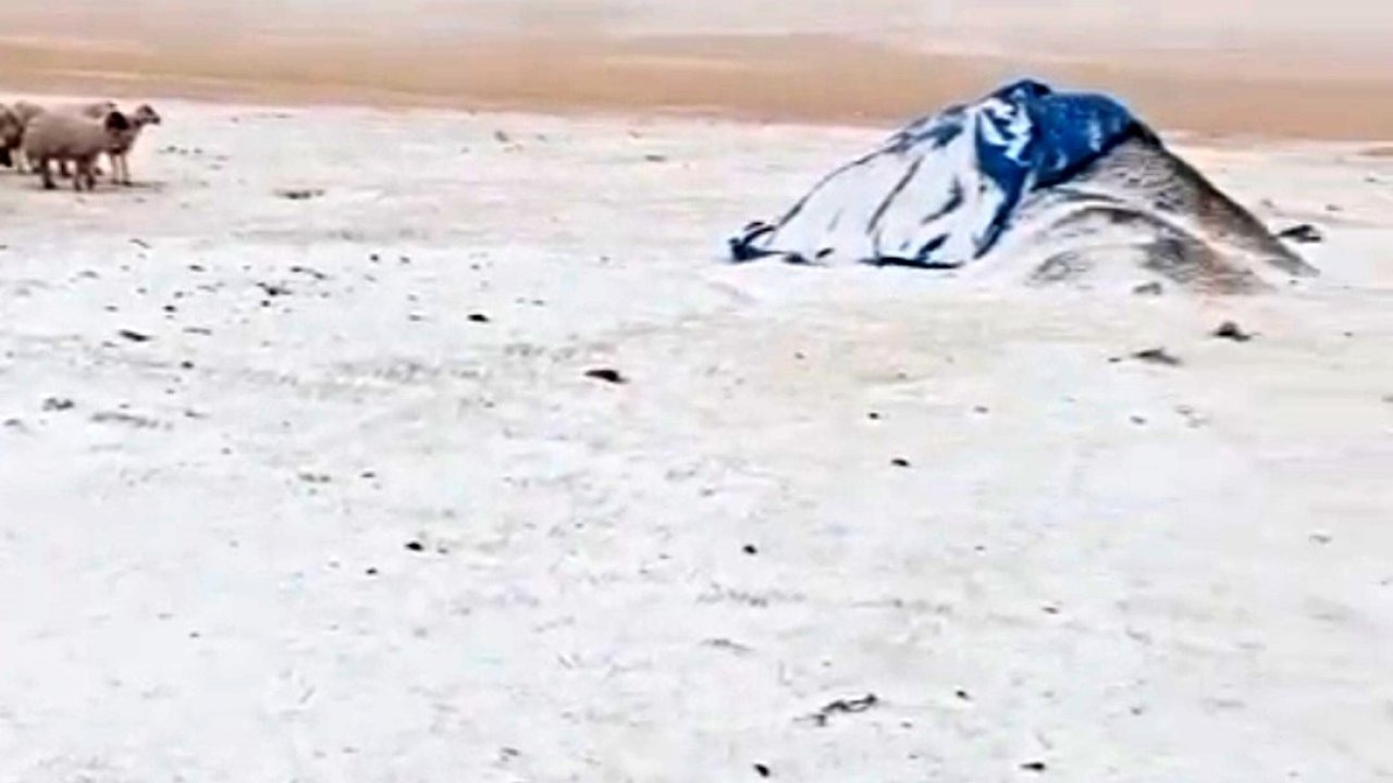 Ağrı&#039;nın Diyadin İlçesi Zeynel Köyü&#039;ne Erken Kar Sürprizi