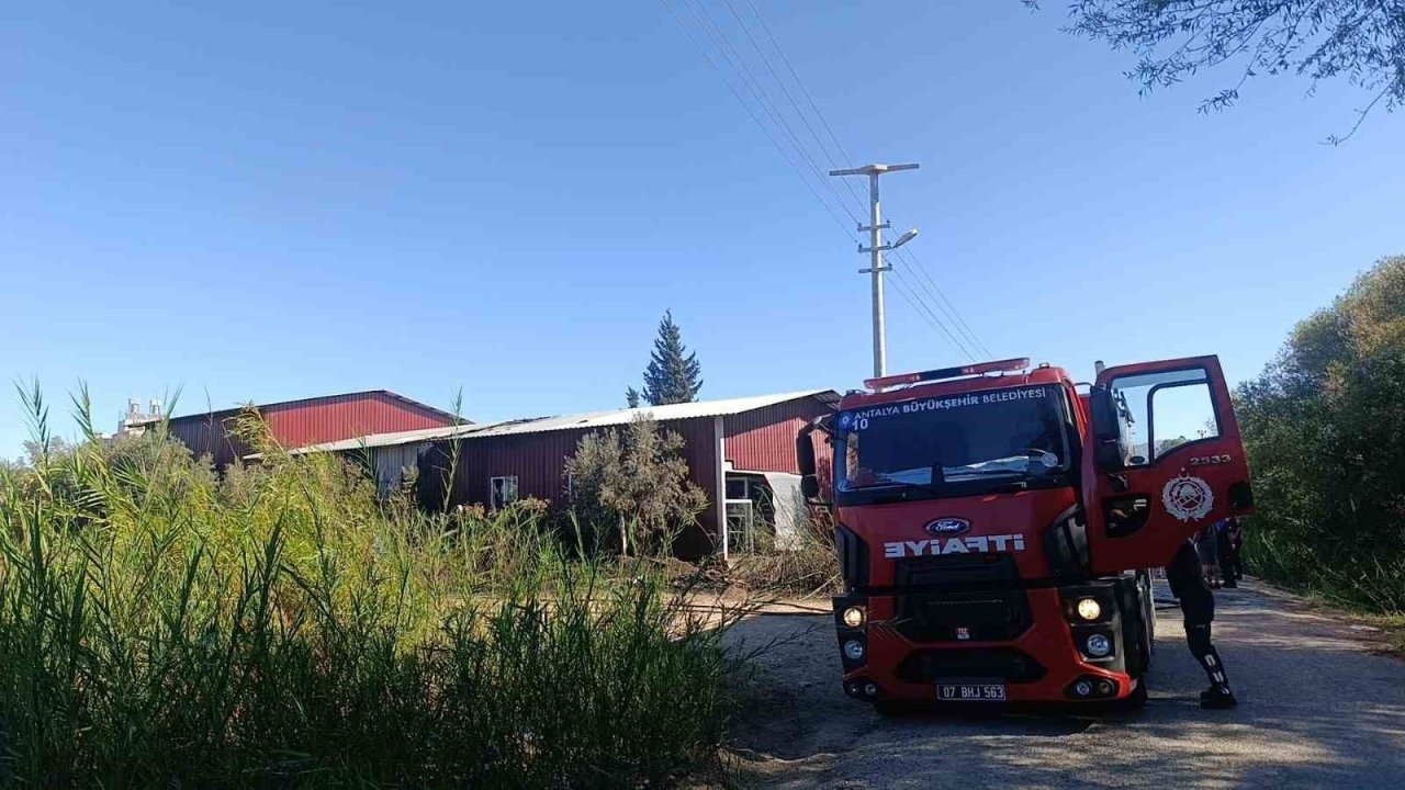 Manavgat&#039;ta Gıda Deposunda Yangın Paniği