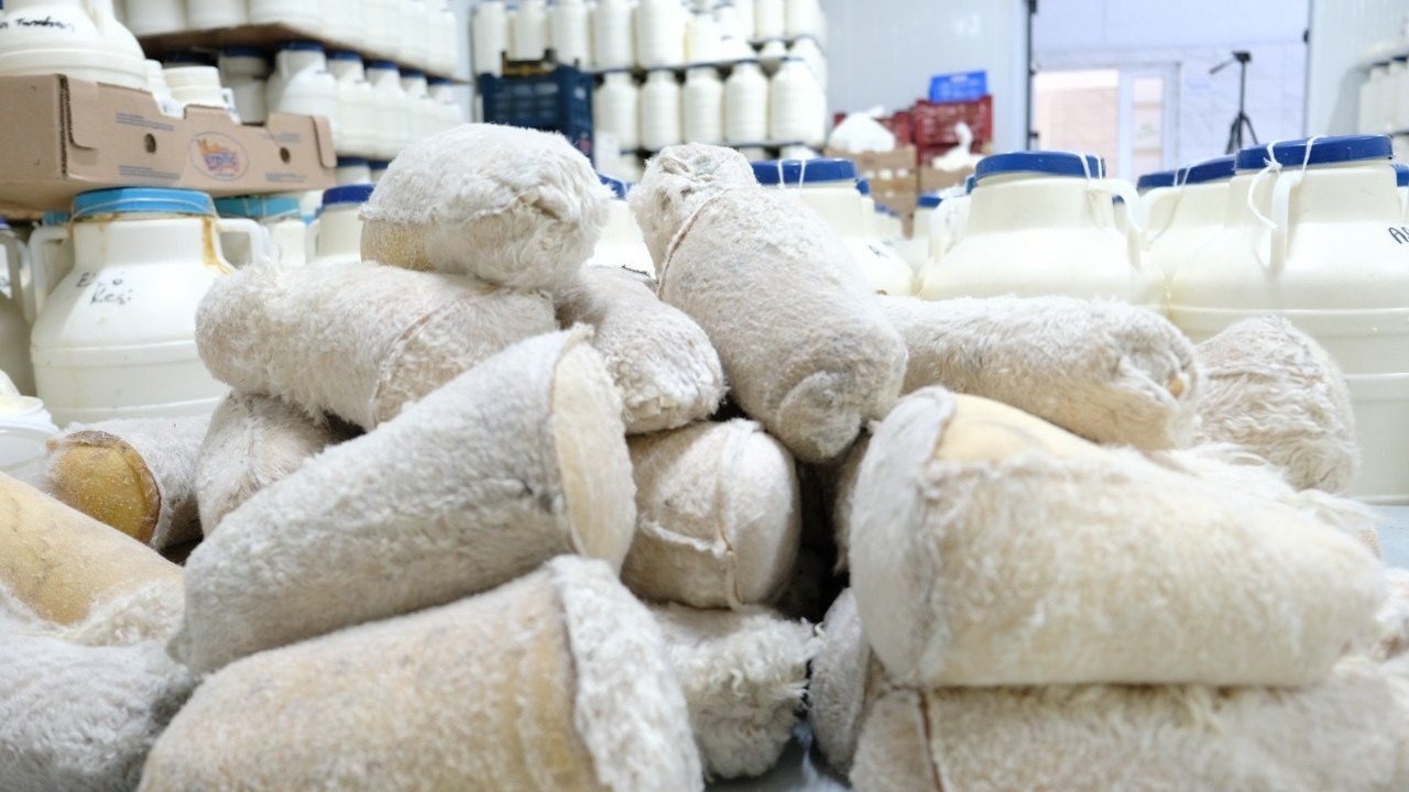 Kahvaltı sofralarına 3 bin rakımdan gelen lezzet: Erzincan tulum peyniri