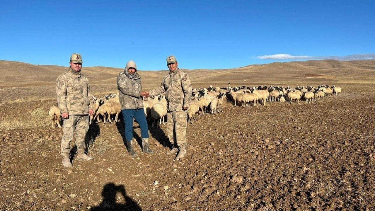 Jandarma, Erzincan'da Kaybolan 300 Koyunu Drone İle Buldu