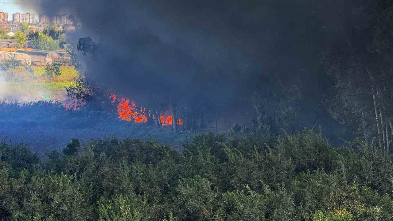 Adana’da Geri Dönüşüm Fabrikasında Yangın