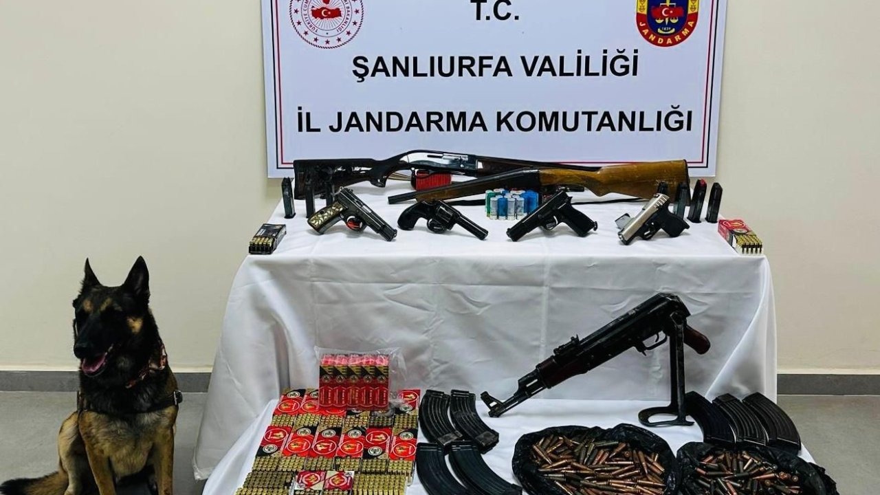 Şanlıurfa'da Silah Operasyonu: Çok Sayıda Ruhsatsız Silah Ele Geçirildi