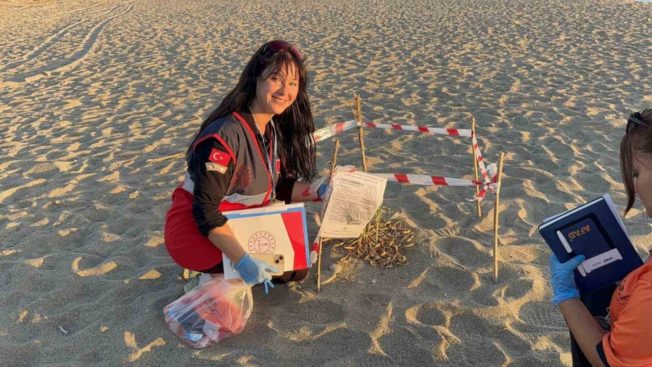 Gazipaşa'da Nesli Tehlike Altındaki Kum Zambakları Koruma Altına Alındı